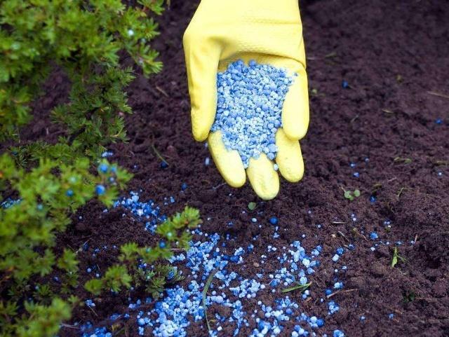 懷化華虹園藝園林綠化有限公司,懷化園林綠化工程設(shè)計施工養(yǎng)護(hù)