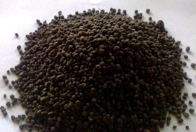 懷化華虹園藝園林綠化有限公司,懷化園林綠化工程設(shè)計施工養(yǎng)護(hù)