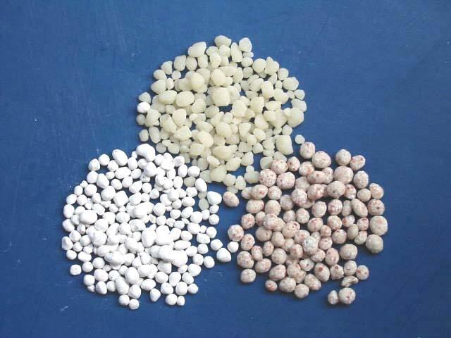 懷化華虹園藝園林綠化有限公司,懷化園林綠化工程設(shè)計施工養(yǎng)護(hù)