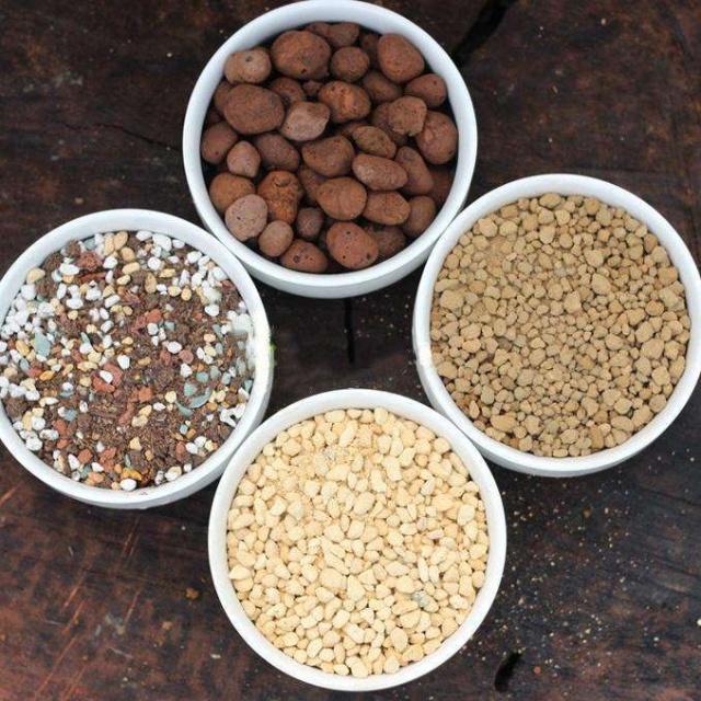 懷化華虹園藝園林綠化有限公司,懷化園林綠化工程設(shè)計施工養(yǎng)護(hù)