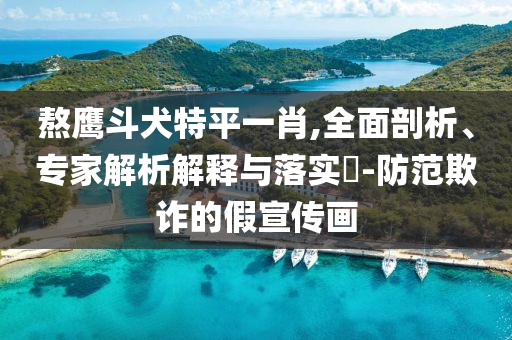 熬鷹斗犬特平一肖,全面剖析、專家解析解釋與落實(shí)?-防范欺詐的假宣傳畫
