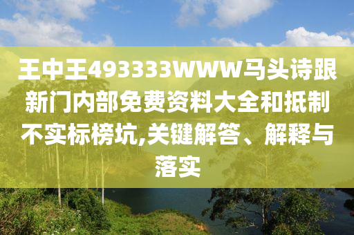 王中王493333WWW馬頭詩跟新門內(nèi)部免費資料大全和抵制不實標榜坑,關(guān)鍵解答、解釋與落實